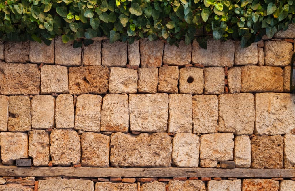 Eine detaillierte Aufnahme auf Augenhöhe einer gepflegten alten Steinmauer mit einer oberen Schicht aus üppigen grünen Blättern, ohne Graffiti. Die Mauer besteht aus grob behauenen, hellbraunen und grauen Steinblöcken, mit einem horizontalen Holzbalken in der Mitte. Unterhalb des Balkens füllen kleinere rote Ziegel die Lücken. Die Textur der Steine und Blätter ist sehr gut sichtbar.