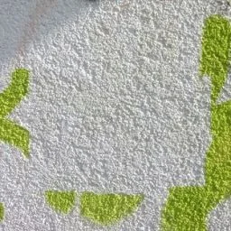 Effektive Graffiti-Entfernung von WDVS-Fassaden: Eine umweltfreundliche Lösung